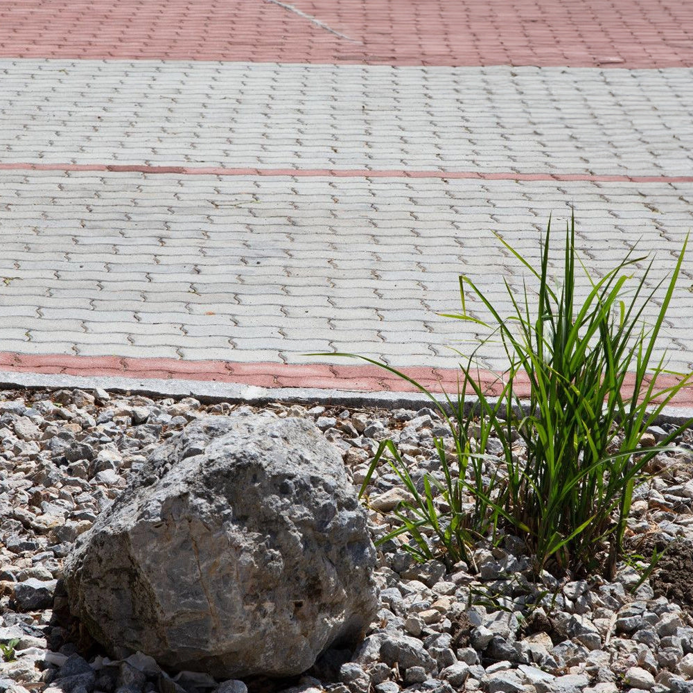 Pavaj din beton Serpentino - Leier – vedere 3